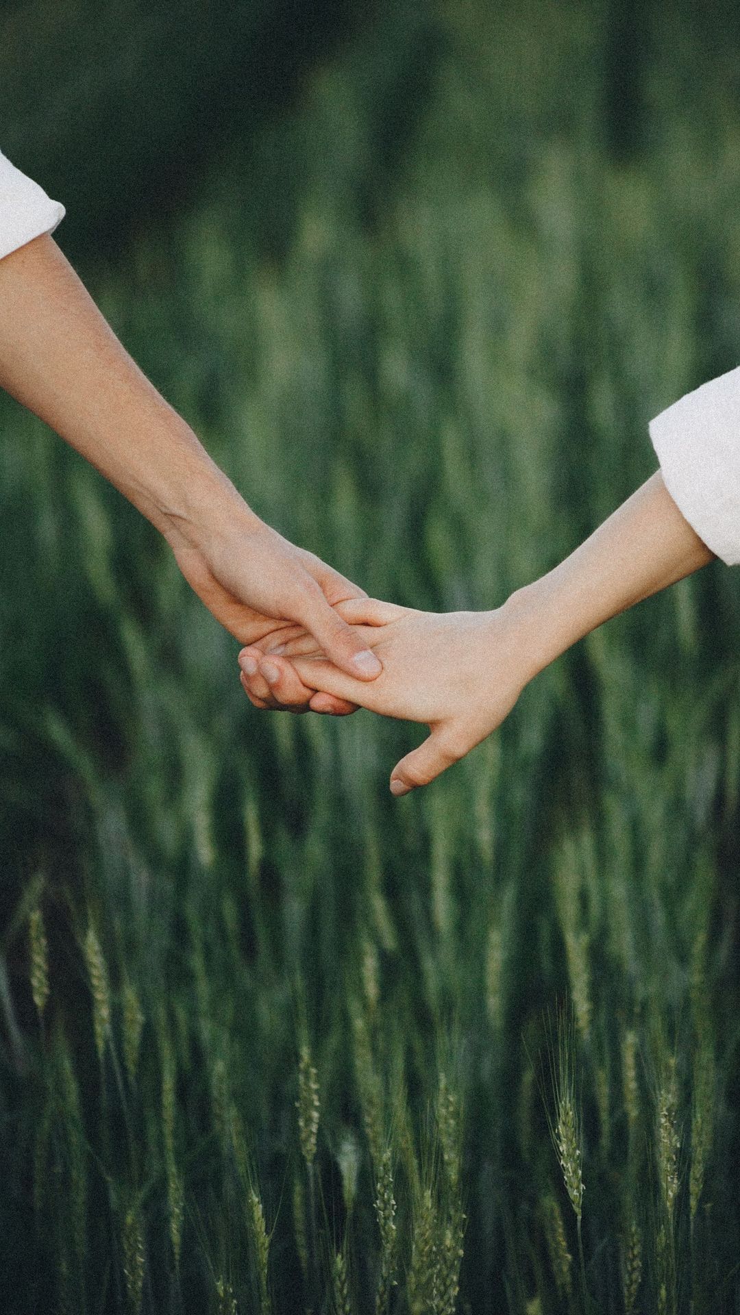 El amor es la cura, la medicina y el camino